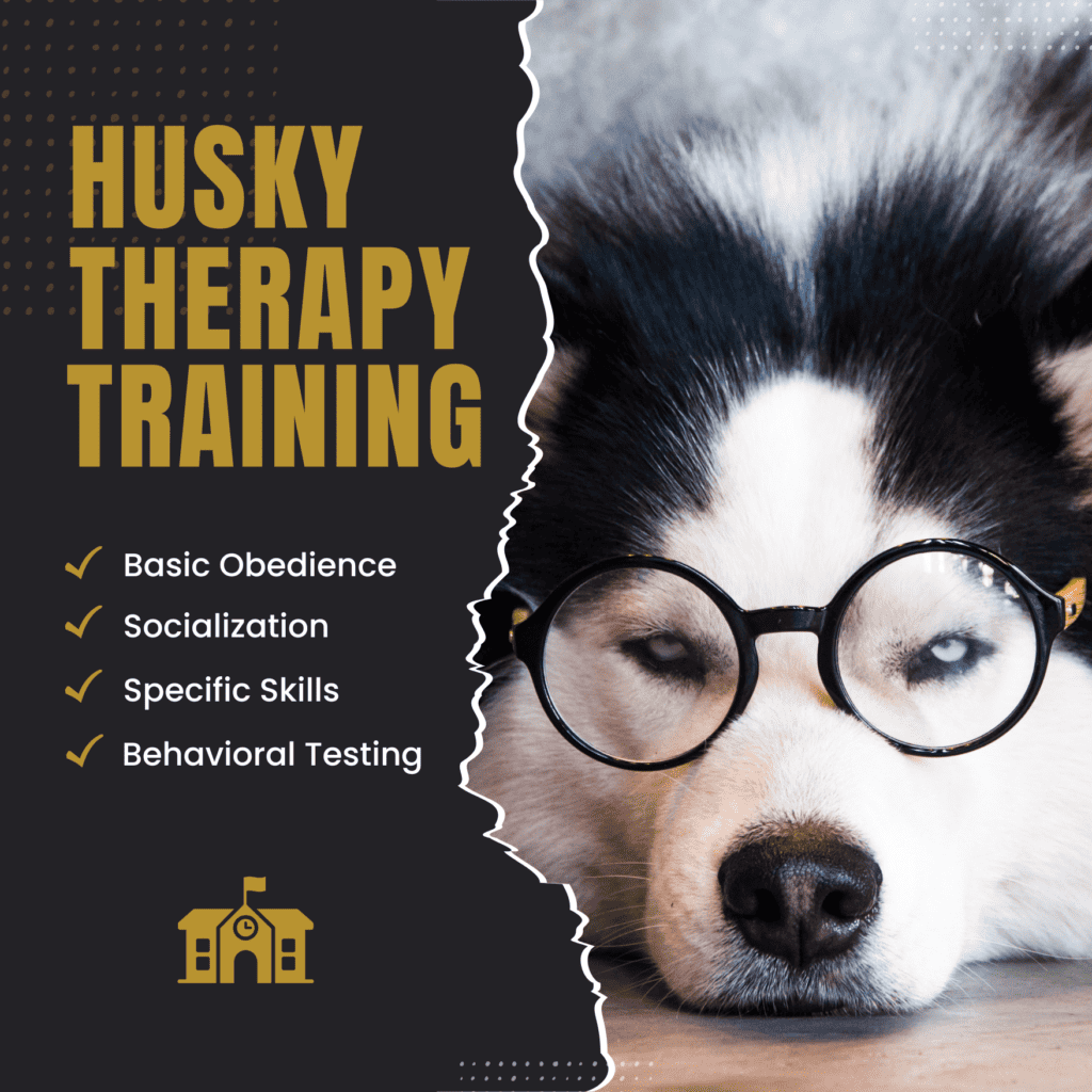 training huskies good therapy dogs